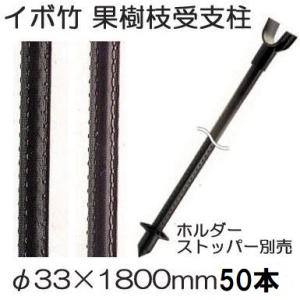 10本セット特価) セキスイ イボ竹 (プロ仕様 業務用) 農業用支柱 (黒