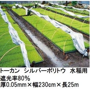 (2巻セット) トーカン シルバーポリトウ 水稲用 ＃80 遮光率80％ (厚0.05mm×幅230...