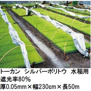 (2巻セット) トーカン シルバーポリトウ 水稲用 ＃80 遮光率80％ (厚0.05mm×幅230...