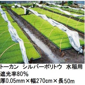 (2巻セット) トーカン シルバーポリトウ 水稲用 ＃80 遮光率80％ (厚0.05mm×幅270...