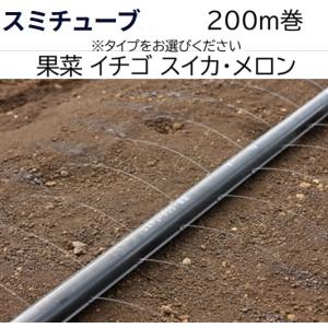 住化農業資材 潅水チューブ スミチューブ25 果菜 200m 1巻 マルチ下
