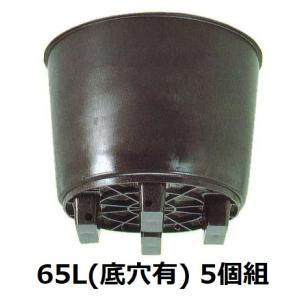 5個セット) サンポット 80L 果樹栽培用 大型ポット 底穴有 サンポリ