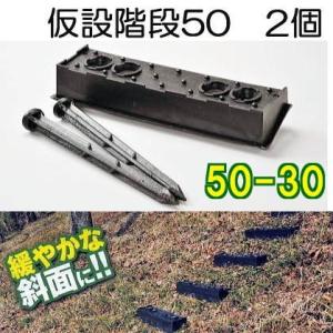 (2個セット2段) 傾斜面用 プラ 仮設階段 50-30 50型 幅500mm 傾斜角度30° 果樹園 工事現場 法面ステップ プラ杭4本付 サンポリ (法人/個人 選択)｜tackey