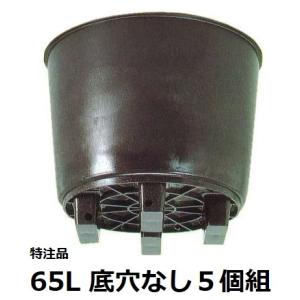 (5個セット) サンポット 65L 果樹栽培用 大型ポット 穴なし サンポリ (法人/個人 選択)｜tackey