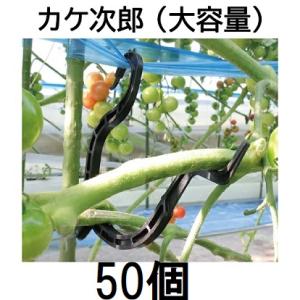 トマトフック トマト栽培フック 1セット100個入り トマト トマト栽培