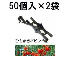 100個入) 誘引資材 カケタロー (中容量) TAR-800 カケタロ〜 トマト