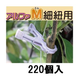 (220個入) 誘引資材 くきたっち アルファM 薄紫 (細紐用) AM-P220 シーム｜tackey