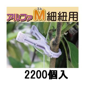 (ケース価格 2200個入) 誘引資材 くきたっち アルファM 薄紫 (細紐用) AM-P220 シ...