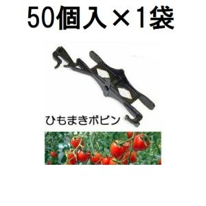 アルミラインナー アルミ製ライン引き 畑の線引き器 槍木産業 : ザ