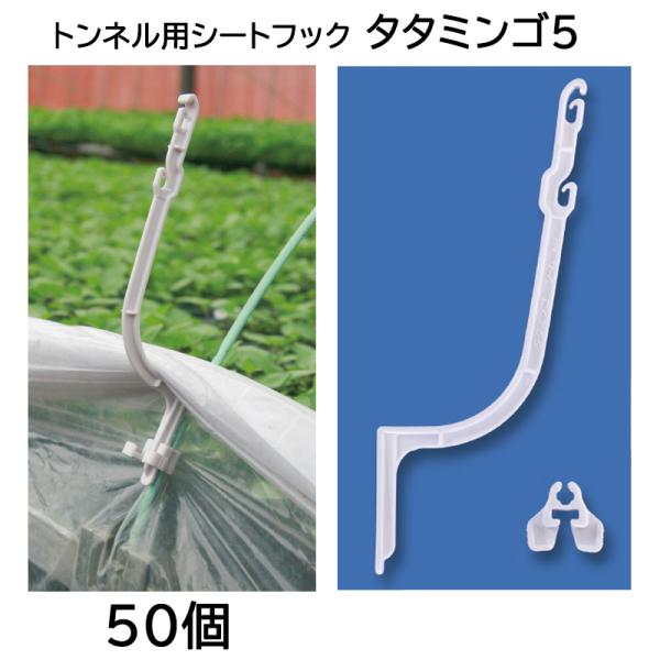 (50個セット) トンネル用シートフック タタミンゴ5 TMG5-P50 トンネル支柱4.5mm〜6...