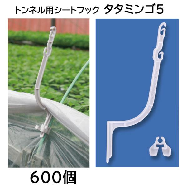 (ケース特価600個) トンネル用シートフック タタミンゴ5 TMG5-P50 トンネル支柱4.5m...