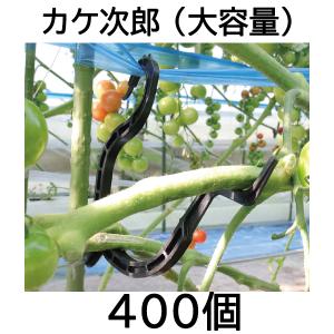 SHINSEI (25本セット) トマト用螺旋支柱 φ13×1800mm トマト用