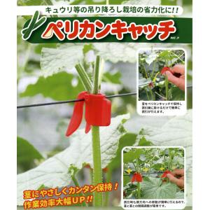 (500個入) ペリカンキャッチ PC-R500 キュウリ等のつる性植物の誘引に