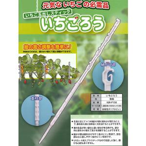 150本入) いちごろう IGR-P150 イチゴ玉出しスティック いちご用 150本入) いちごろう IGR-P150 イチゴ玉出しスティック いちご用