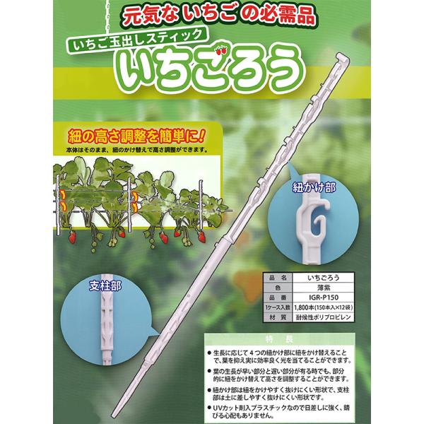 いちごろう 1800本入(1ケース) イチゴ玉出しスティック いちご用資材 シーム