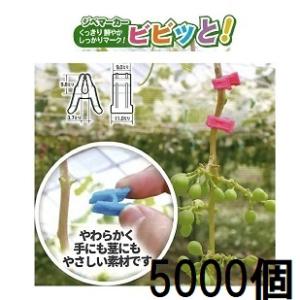 5色 各100個入) ジベマーカー ビビッと (500個) (ピンク イエロー