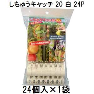 【せいさん専用】支柱 園芸支柱 8mm ×750mm 100本 セット シンセイ : ネットで建材! - 通販