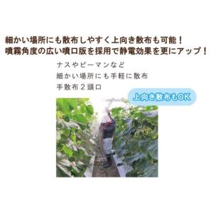 アリミツ 静電ノズル AES-02LH 2頭口...の詳細画像2