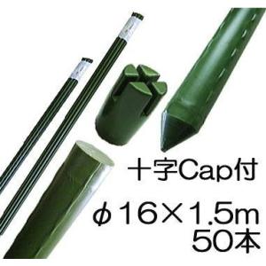 SHINSEI (50本セット) 園芸支柱 (十字キャップ付) イボ付 鋼管竹 φ20mm