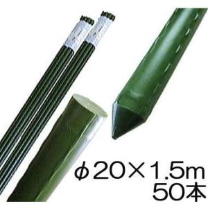 SHINSEI (50本セット) 園芸支柱 イボ付 鋼管竹 φ16mm×2.4m 16×2400mm