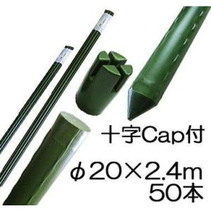 SHINSEI (50本セット) 園芸支柱 (十字キャップ付) イボ付 鋼管竹 φ16mm
