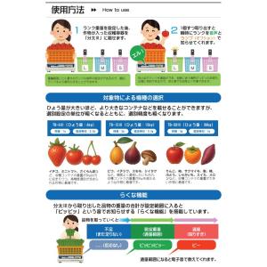 「分太3」 分太III TB-30III 選別...の詳細画像2