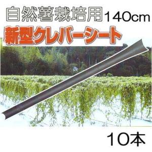 10本セット) クレバーパイプ 135cm 自然薯栽培器 自然薯用 (山芋