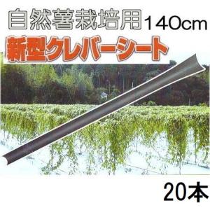 10本セット) クレバーパイプ 135cm 自然薯栽培器 自然薯用 (山芋