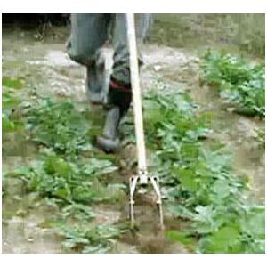 畑作専用 中耕除草機 たがやすパワー TP-70 (中耕機) 向井工業 : ザ