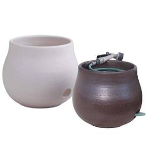 根岸産業 ステンレス製 竿長如雨露 4号 (盆栽ジョーロ 約4L 斜口4号