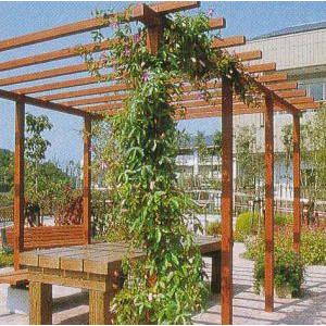 ストレートパーゴラ ダブル アルミ製組立式 2SP W2800×D3100×H2440mm （藤棚 ...