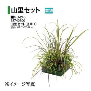タカショー (室内用) 人工植物 グリーンデコ和風竹 黒竹5本立 鉢付 1.5