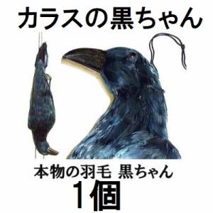 鳥追い カイト鷹 KD-180 (4mファイバーポール支柱付) 防鳥具 愛農 zs