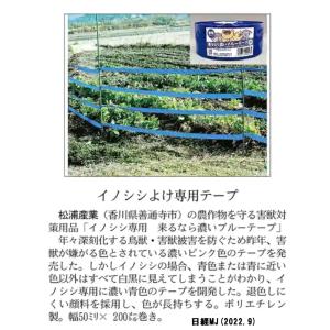 (5個セット) 来るなら濃いブルーテープ 50...の詳細画像3