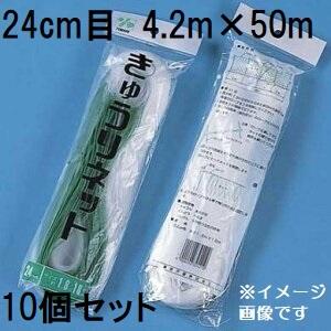 送料無料) フラワーネット 2目×10cm角〜30cm角 長さ100m (網目サイズ