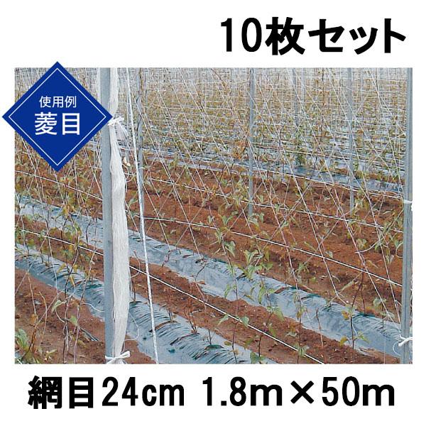 (10枚セット) 東京戸張 ながいもネット 網目24cm 1.8ｍ×50ｍ NB1850 白緑 長芋...