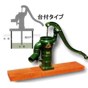 手押しポンプ 共柄台付 T35PD プラ玉ワンゴム付ピストン (TB35PD 井戸) ガチャポン 東...