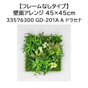 タカショー 【室内用】 【フレームなしタイプ】壁面アレンジ 45×45cm (A ドラセナ GD-201A 33576300)｜tackey