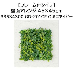 タカショー 【室内用】 【フレーム付タイプ】壁面アレンジ 45×45cm フレーム付 (C ミニアイビー GD-201CF 33534300)｜tackey