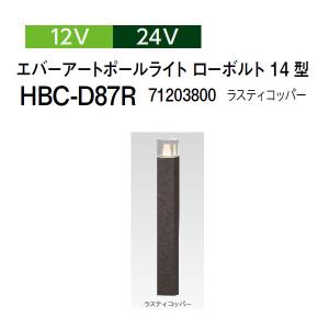 タカショー ダウンライト 角度調整タイプ 12V 24V ダウンライト 2型