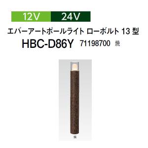 タカショー ダウンライト 角度調整タイプ 12V 24V ダウンライト 2型