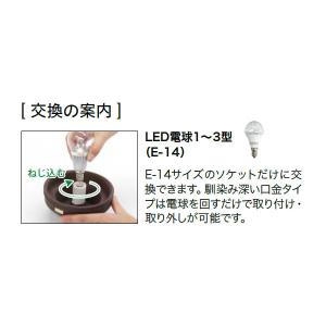 タカショー ローボルト(12V/24V)用交換...の詳細画像1