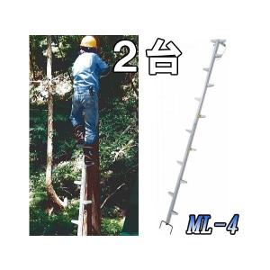 長谷川工業 枝打ちはしご EH-30 (全長3.07m/最大使用重量100kg