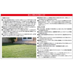 タカショー 非透水スポーツ人工芝 (NBA-S...の詳細画像2