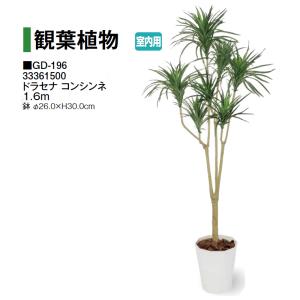 大和プラスチック ホワイトプランター W-100型 【ファイバーグラス製