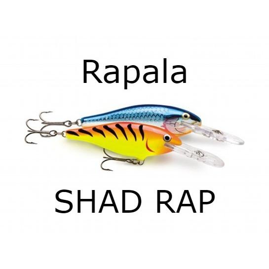 ラパラ(Rapala)　シャッドラップ　SR7【送料220円】