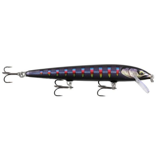ラパラ RAPALA FE120 フローターエリート12cm GDNIA ギルディッドナイトオーロラ