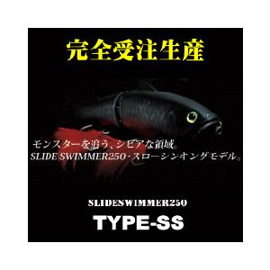 デプス スライドスイマー 250 Type Ss Morenotafurt Com