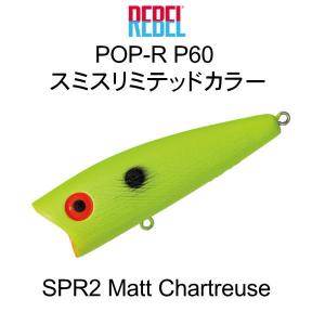 DAIWA（ダイワ） プレッソ-LTD AGS （SMTモデル） 61L-SMTT・J