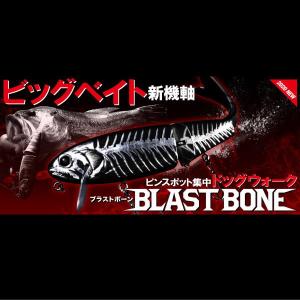 村上祥悟プロが秋の遠賀川をおかっぱりから攻略 Bassfishingnews